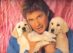 David Hasselhoff and His Adorable Puppies: a Heartwarming Journey