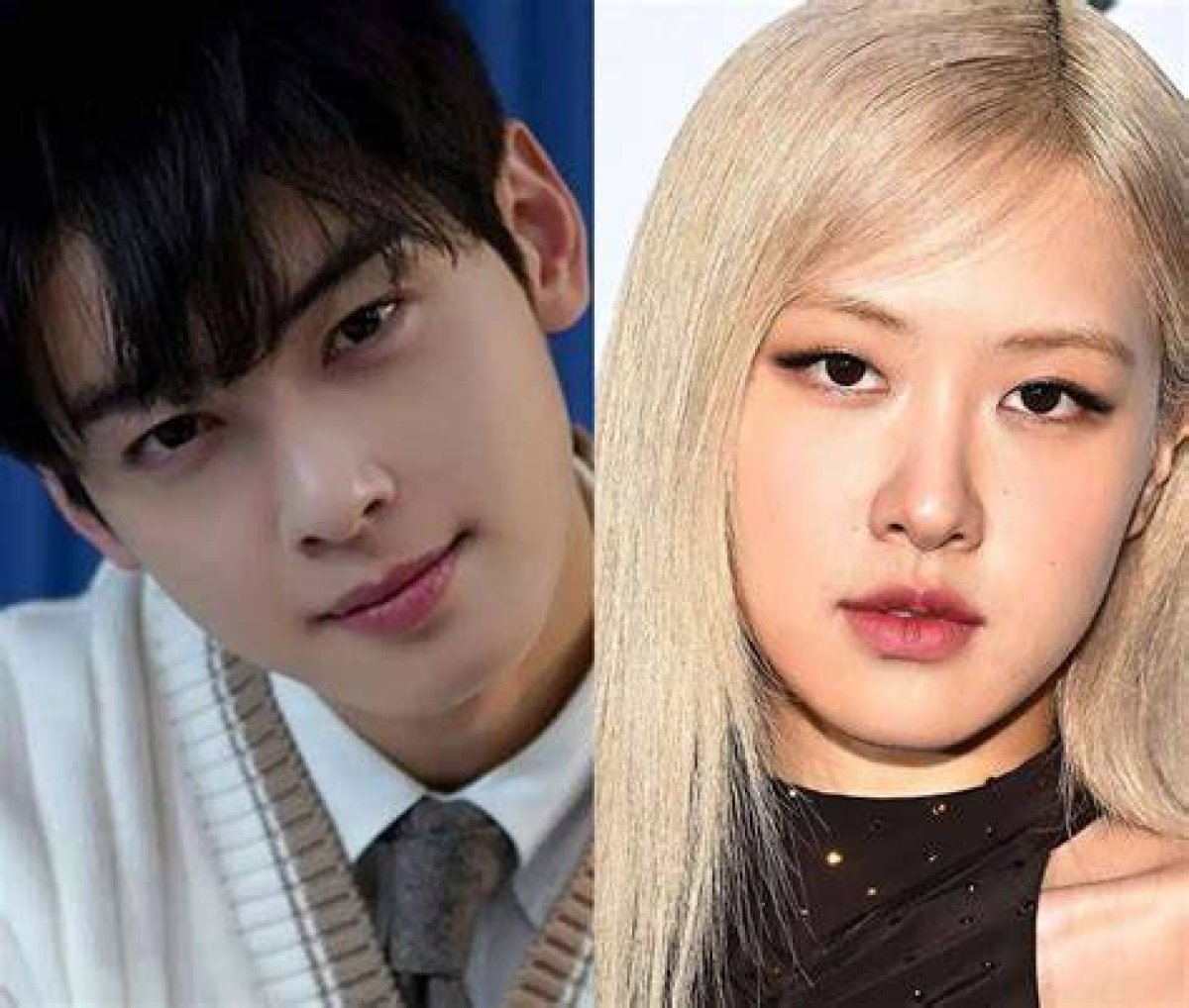 Is Cha Eun Woo Dating Rose from Blackpink? the Truth Behind the Rumors