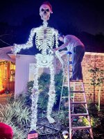 Unveiling the Fascination: the 12 Foot Skeleton Phenomenon